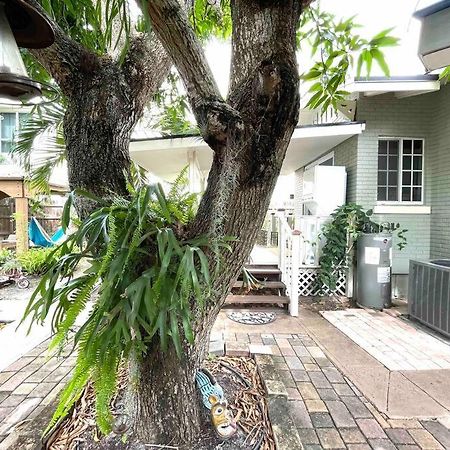 Independent Studio In Little Havana Маямі Екстер'єр фото
