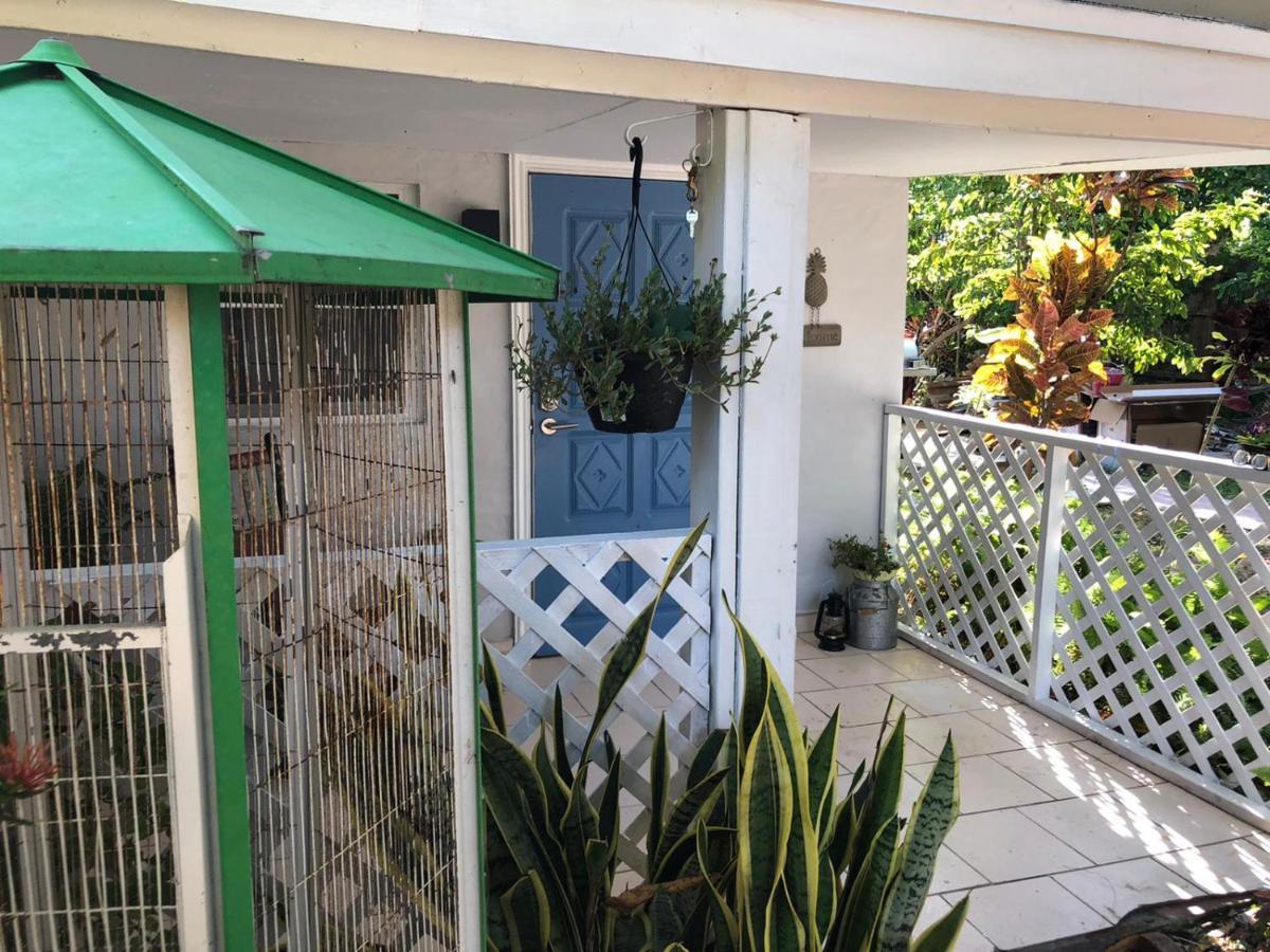 Independent Studio In Little Havana Маямі Екстер'єр фото