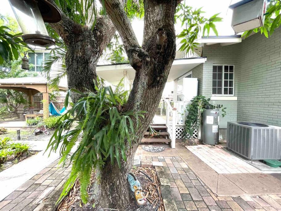 Independent Studio In Little Havana Маямі Екстер'єр фото