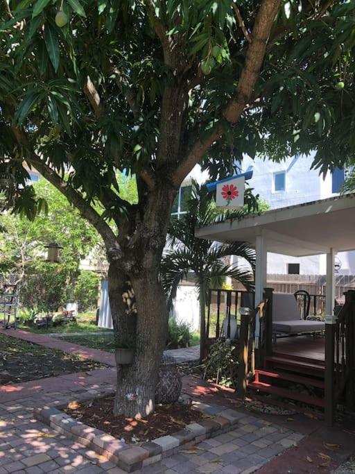 Independent Studio In Little Havana Маямі Екстер'єр фото