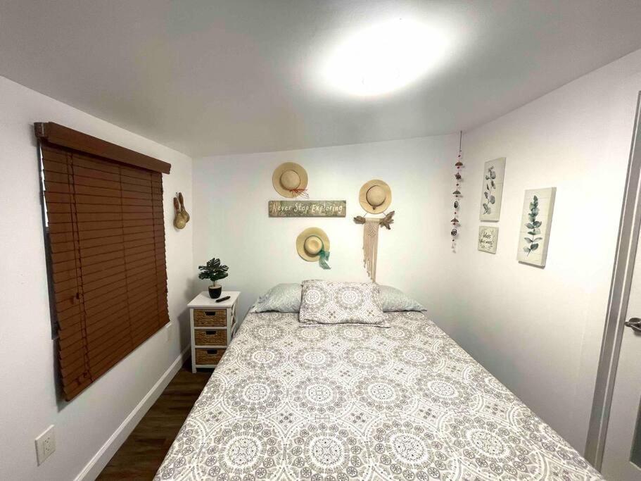 Independent Studio In Little Havana Маямі Екстер'єр фото