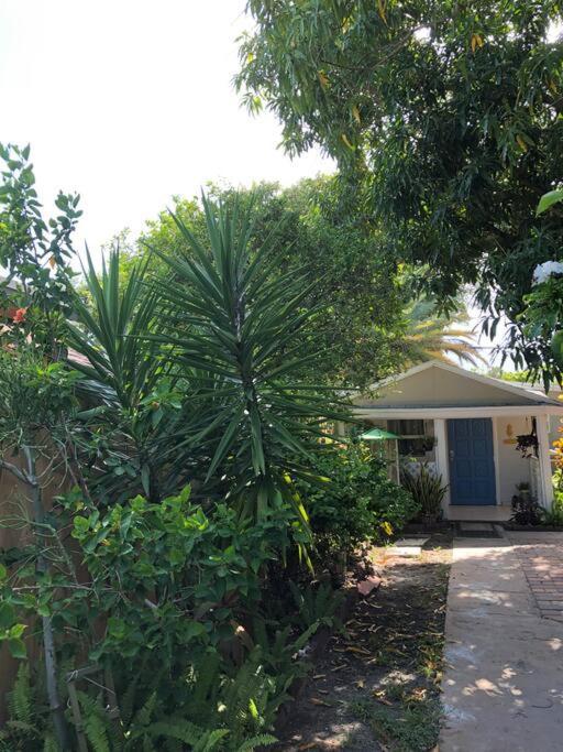Independent Studio In Little Havana Маямі Екстер'єр фото
