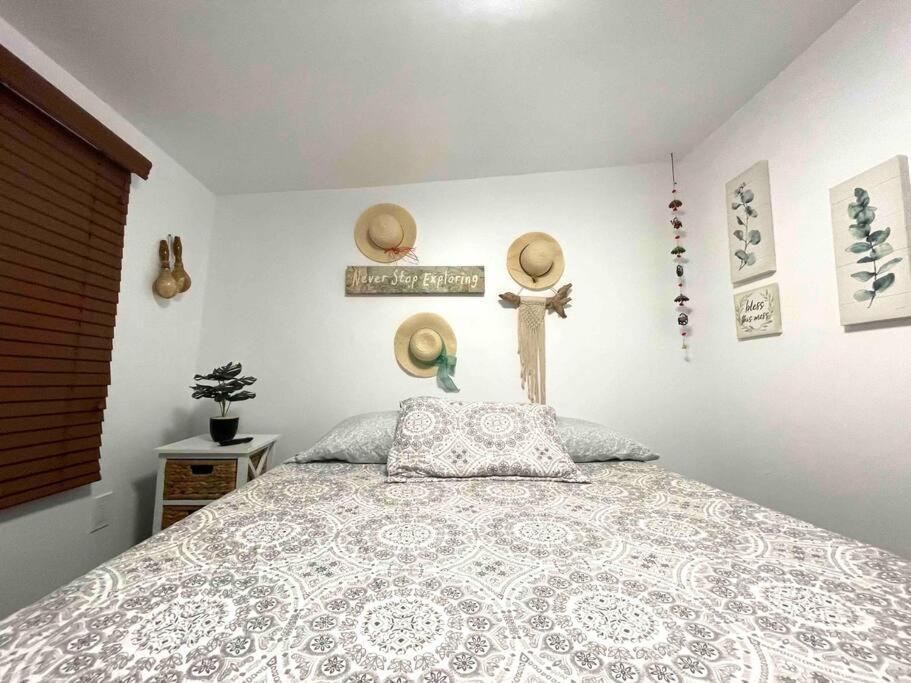 Independent Studio In Little Havana Маямі Екстер'єр фото